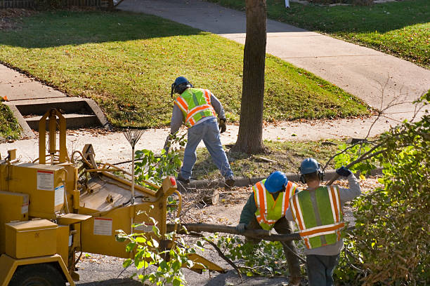 Best Tree Health Inspection  in Green Springs, OH